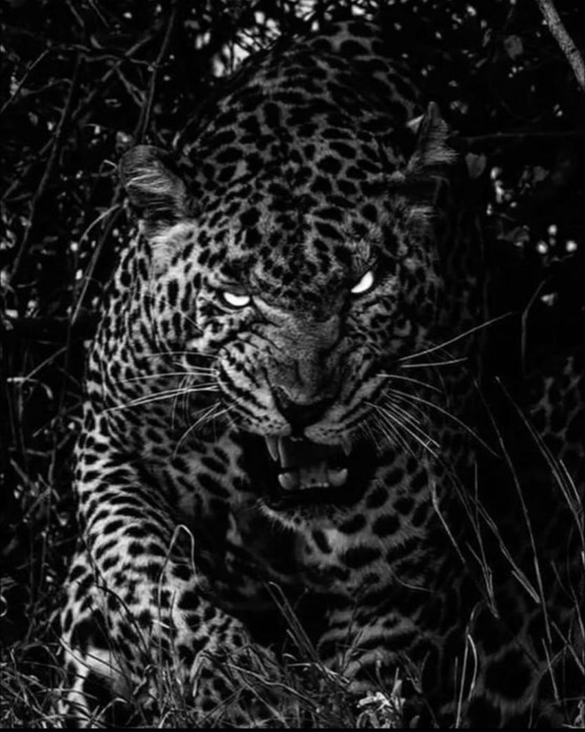 Ankara SOSYETESİ BUNU KONUŞUYOR! Burak Arslan Yasak Aşkıyla Basıldı